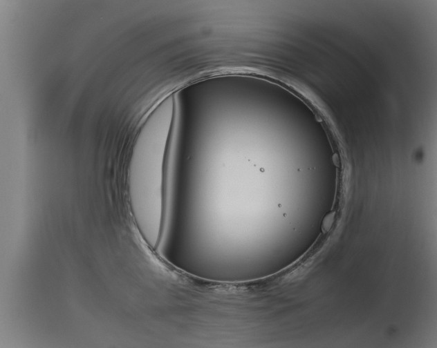 X0000112850809200908281602