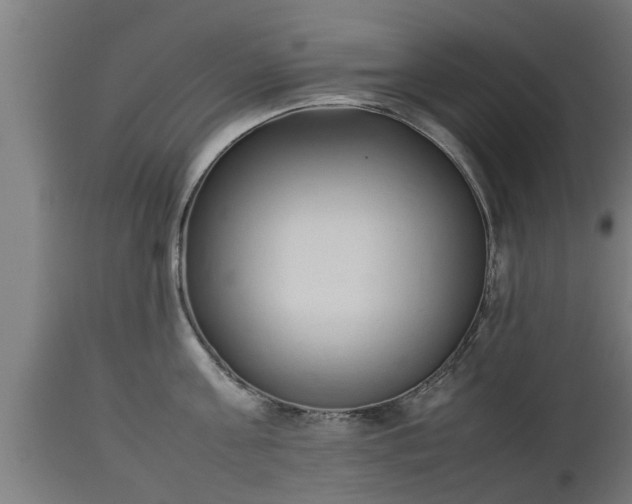 X0000112850811200908281602