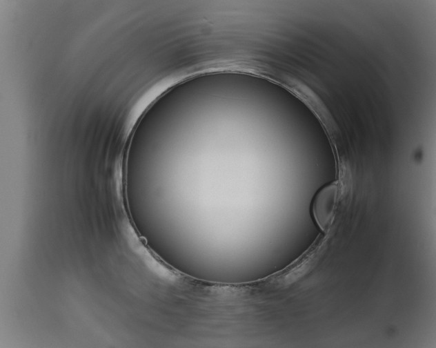 X0000112850812200908281602