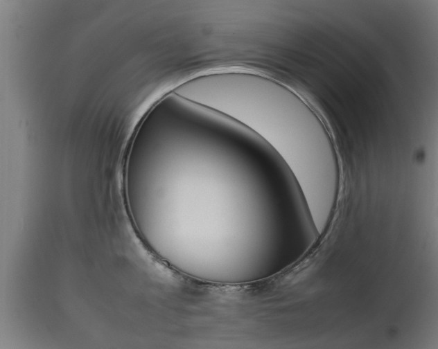 X0000112850813200908281602