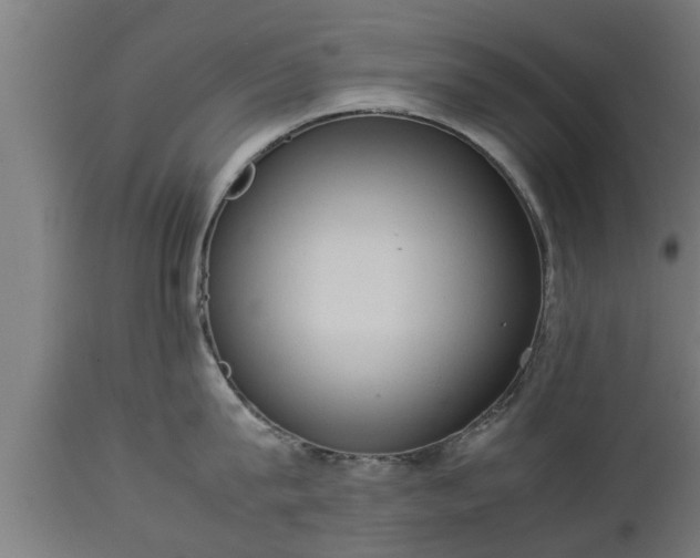 X0000112850815200908281602
