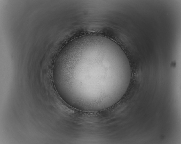 X0000112850817200908281601