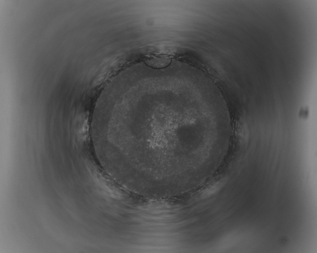 X0000112850818200908281601