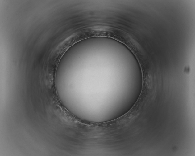 X0000112850821200908281601