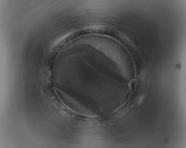 X0000112850822200908281601