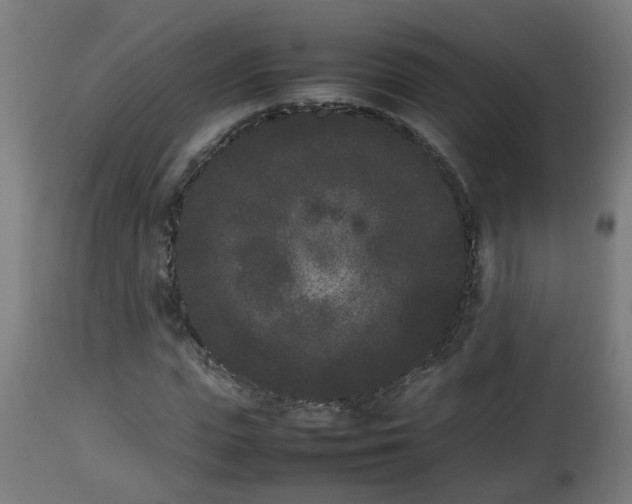 X0000112850823200908281601