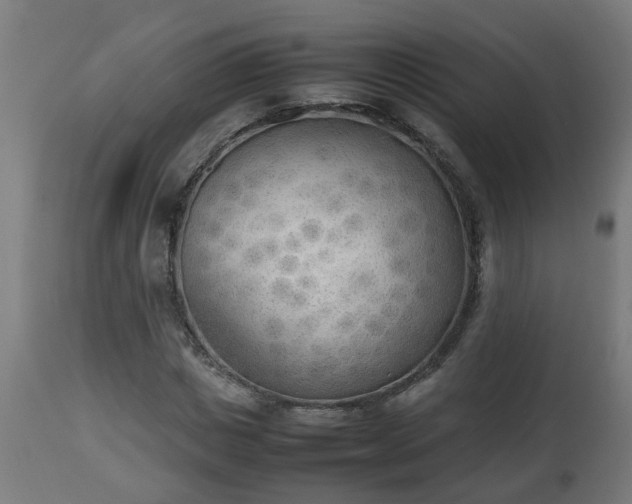 X0000112850825200908281601