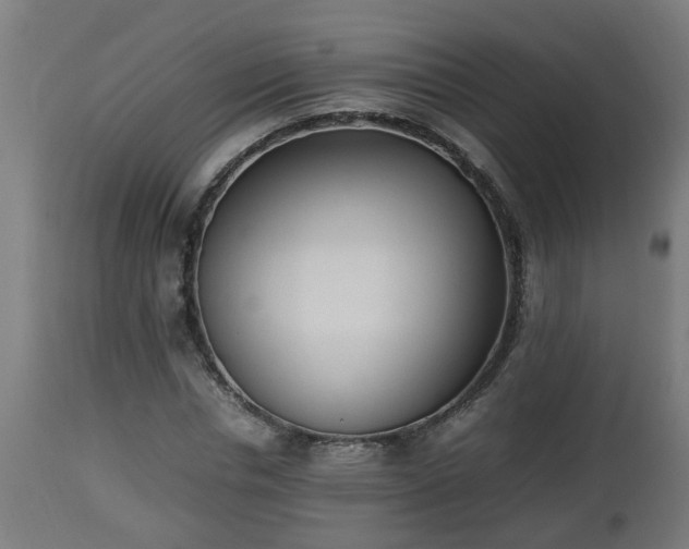 X0000112850826200908281601
