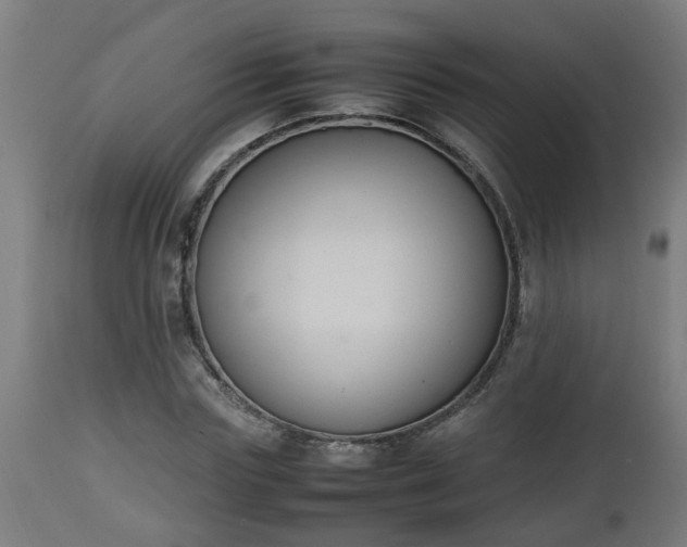 X0000112850827200908281601