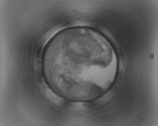 X0000112850828200908281601