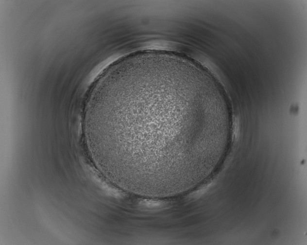 X0000112850829200908281601
