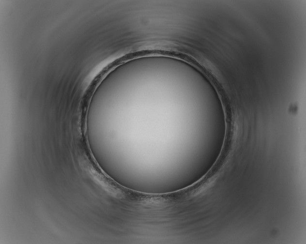 X0000112850830200908281601