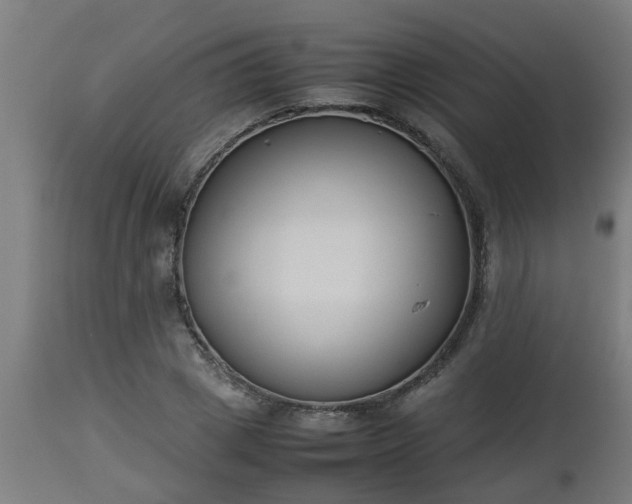 X0000112850833200908281601