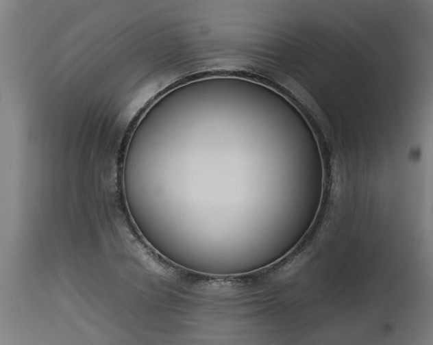 X0000112850834200908281601