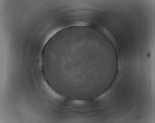 X0000112850835200908281602