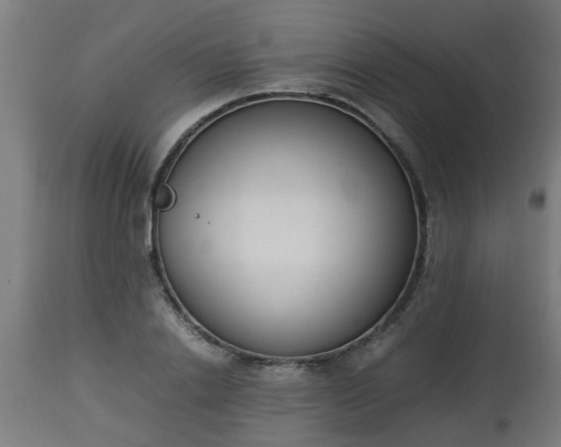 X0000112850838200908281602