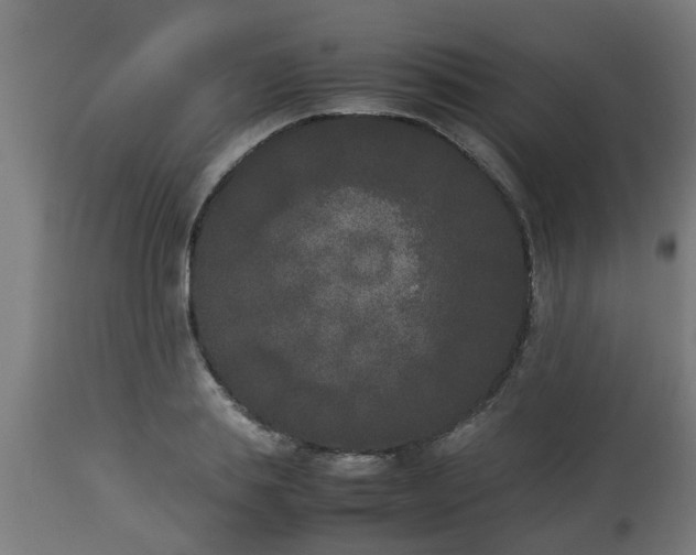X0000112850839200908281602