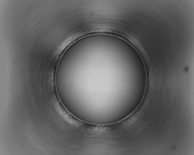 X0000112850842200908281602
