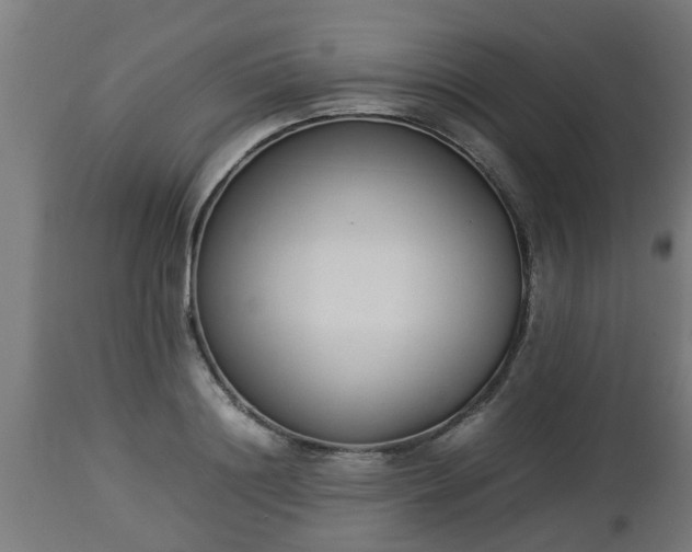 X0000112850844200908281602