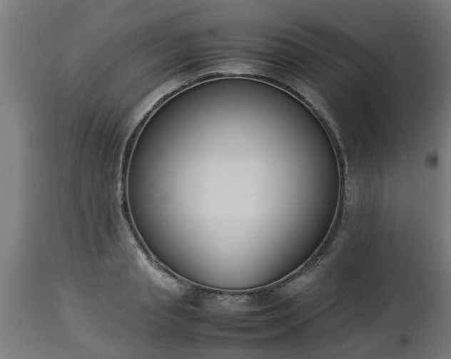 X0000112850845200908281602