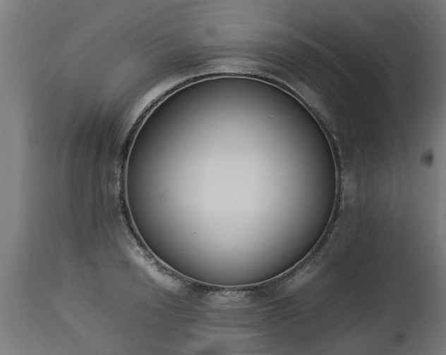 X0000112850846200908281602