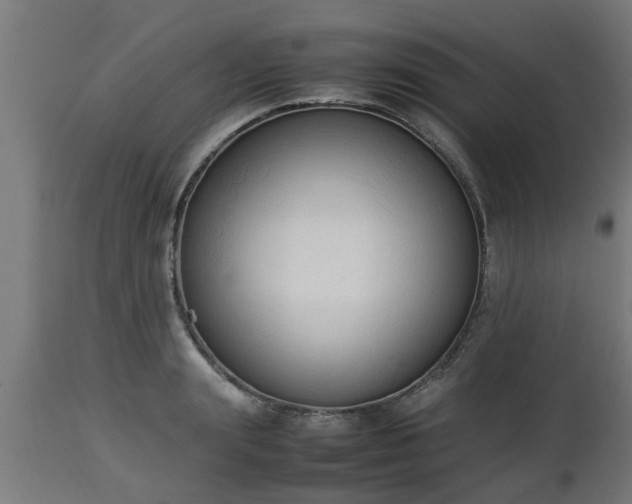 X0000112850847200908281602