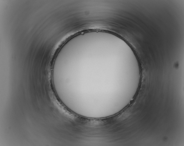 X0000112850848200908281602