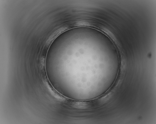 X0000112850849200908281602
