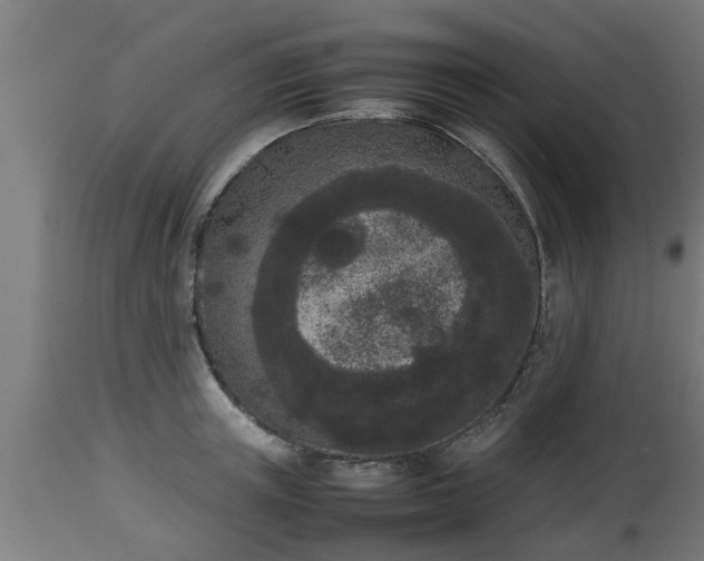 X0000112850851200908281602