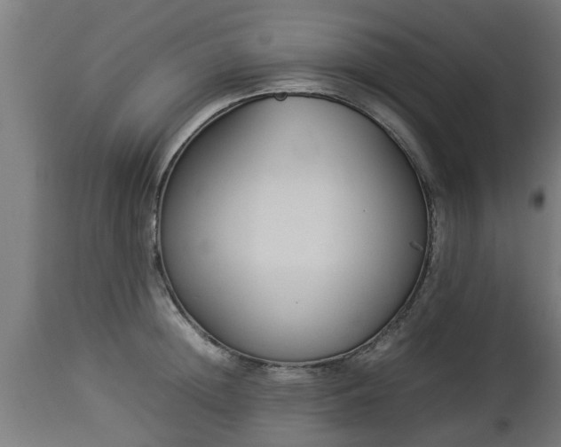 X0000112850852200908281602