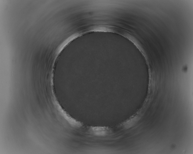 X0000112850853200908281602