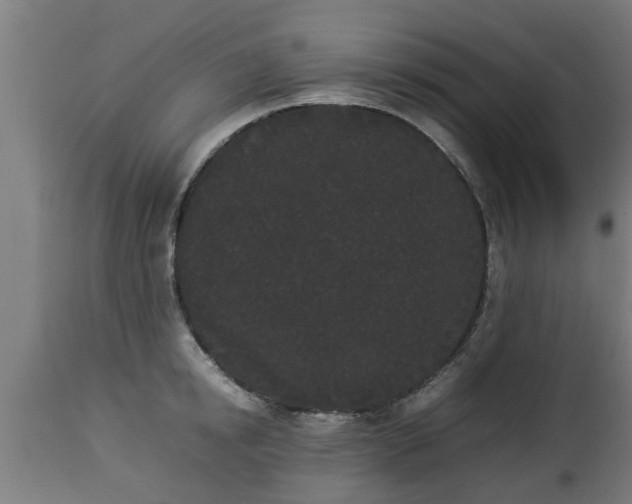 X0000112850854200908281602