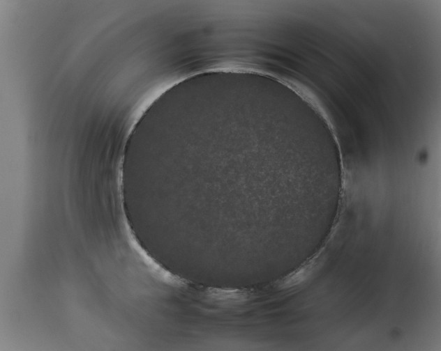 X0000112850855200908281602