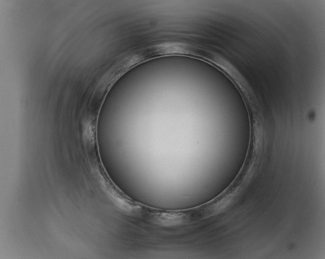 X0000112850857200908281602