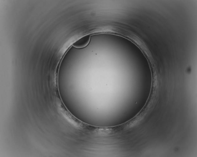 X0000112850858200908281602