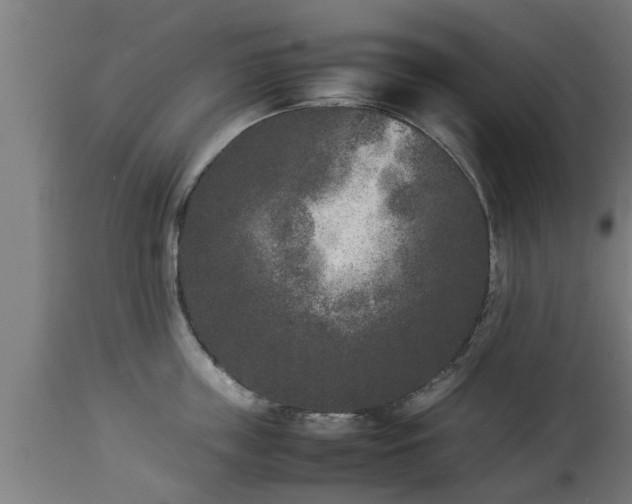 X0000112850859200908281602