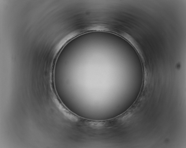X0000112850861200908281602