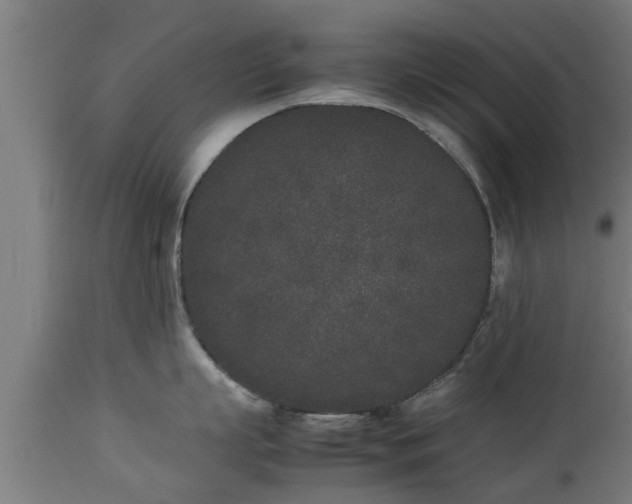 X0000112850863200908281602
