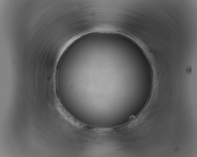 X0000112850864200908281602
