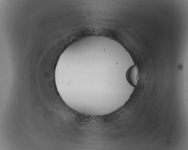 X0000112850865200908281601