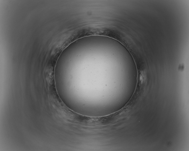 X0000112850867200908281601