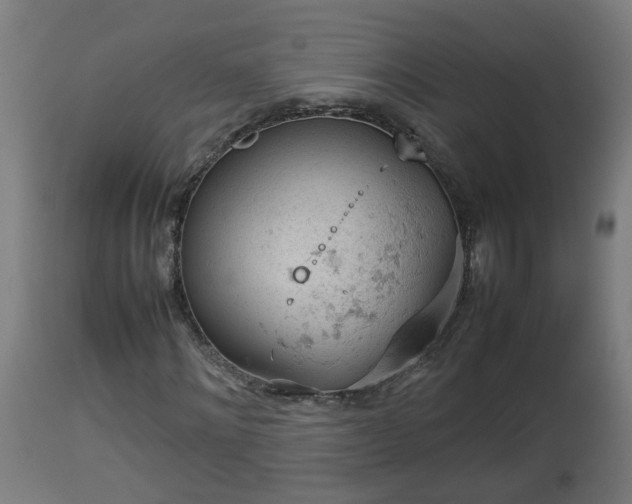 X0000112850868200908281601