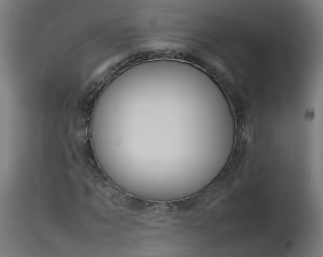 X0000112850869200908281601