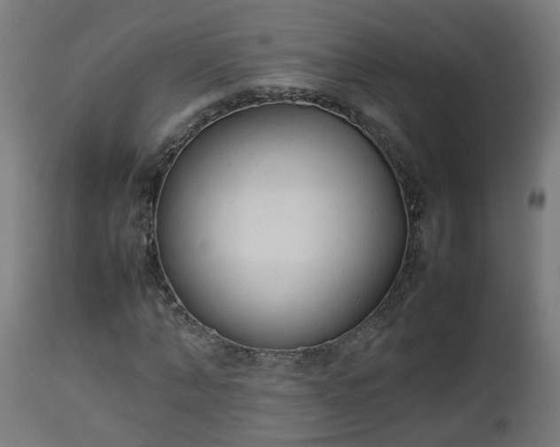 X0000112850870200908281601