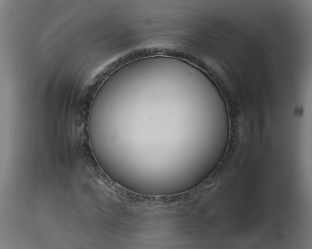 X0000112850872200908281601