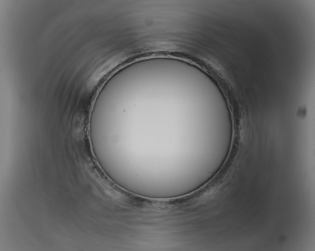 X0000112850873200908281601