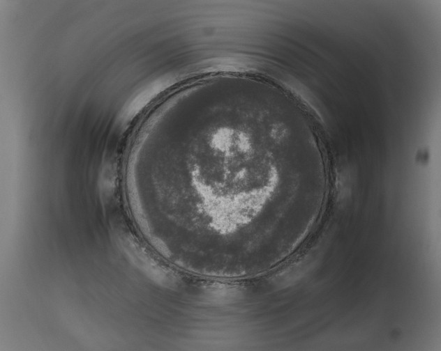 X0000112850874200908281601
