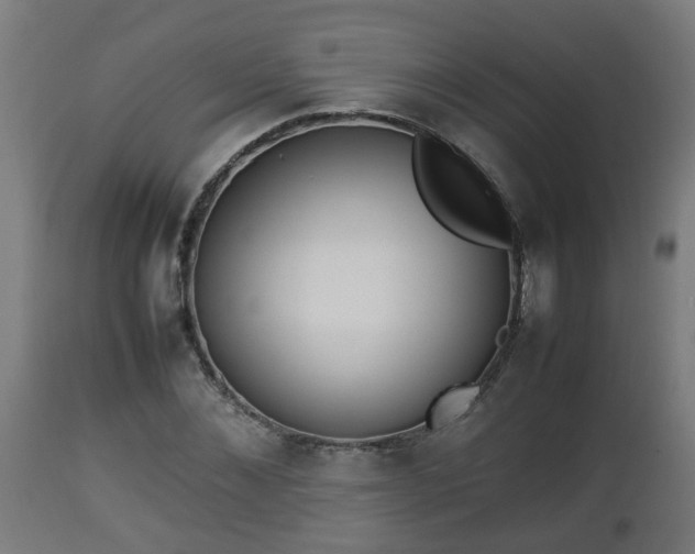 X0000112850876200908281601