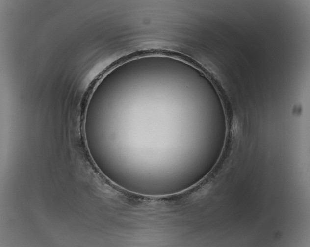 X0000112850877200908281601