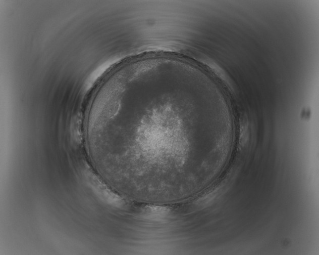 X0000112850878200908281601